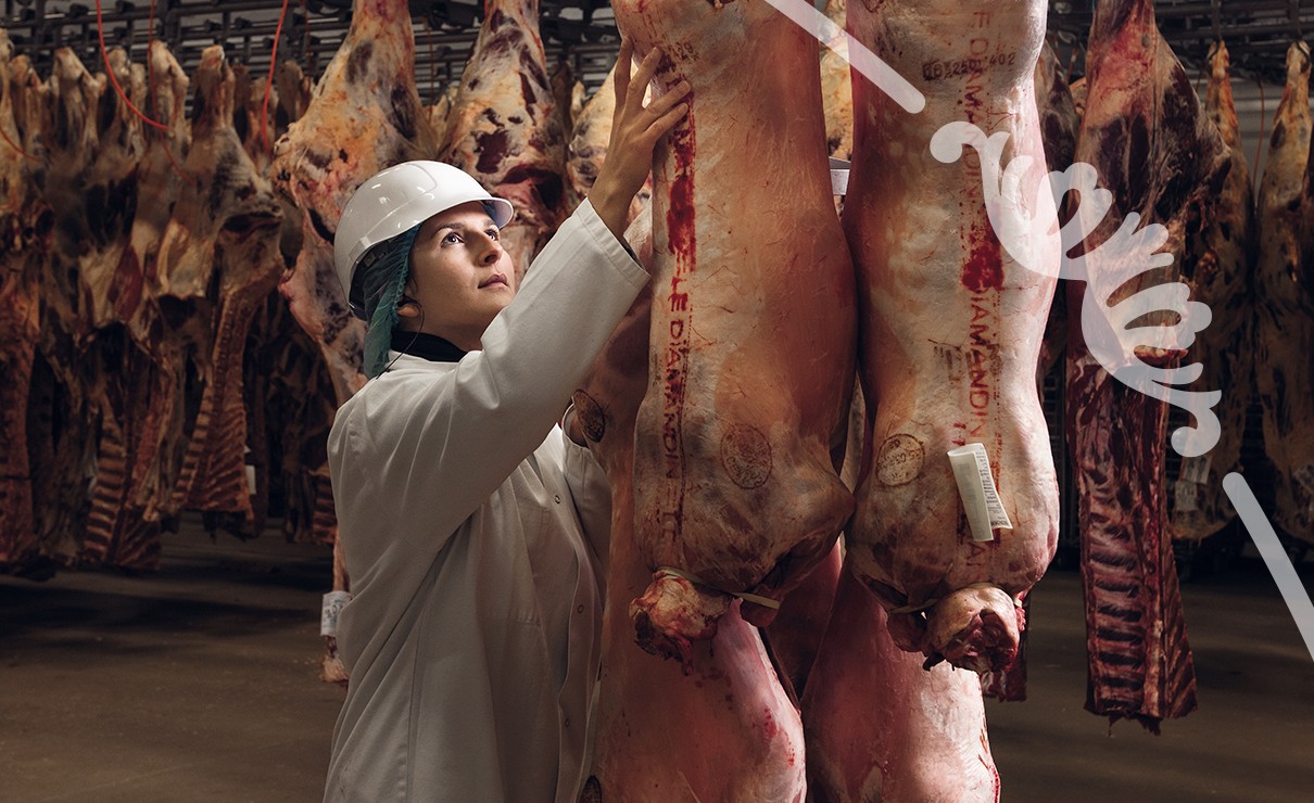 Le respect du bien-être animal jusque dans nos abattoirs