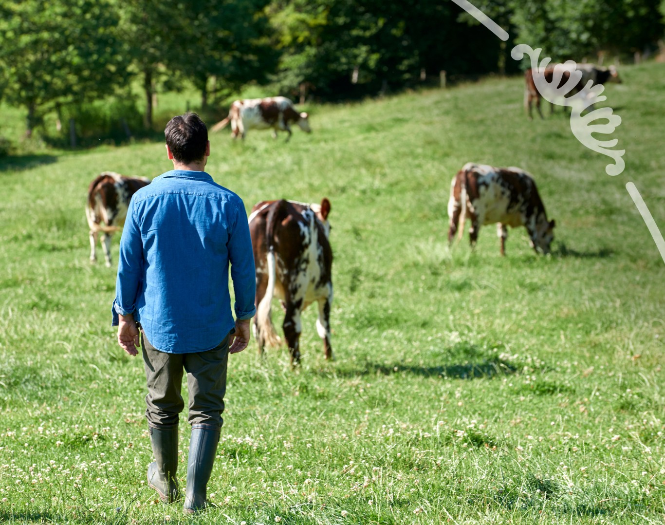 Gamme Plein Air de Bigard, une filière viande de qualité