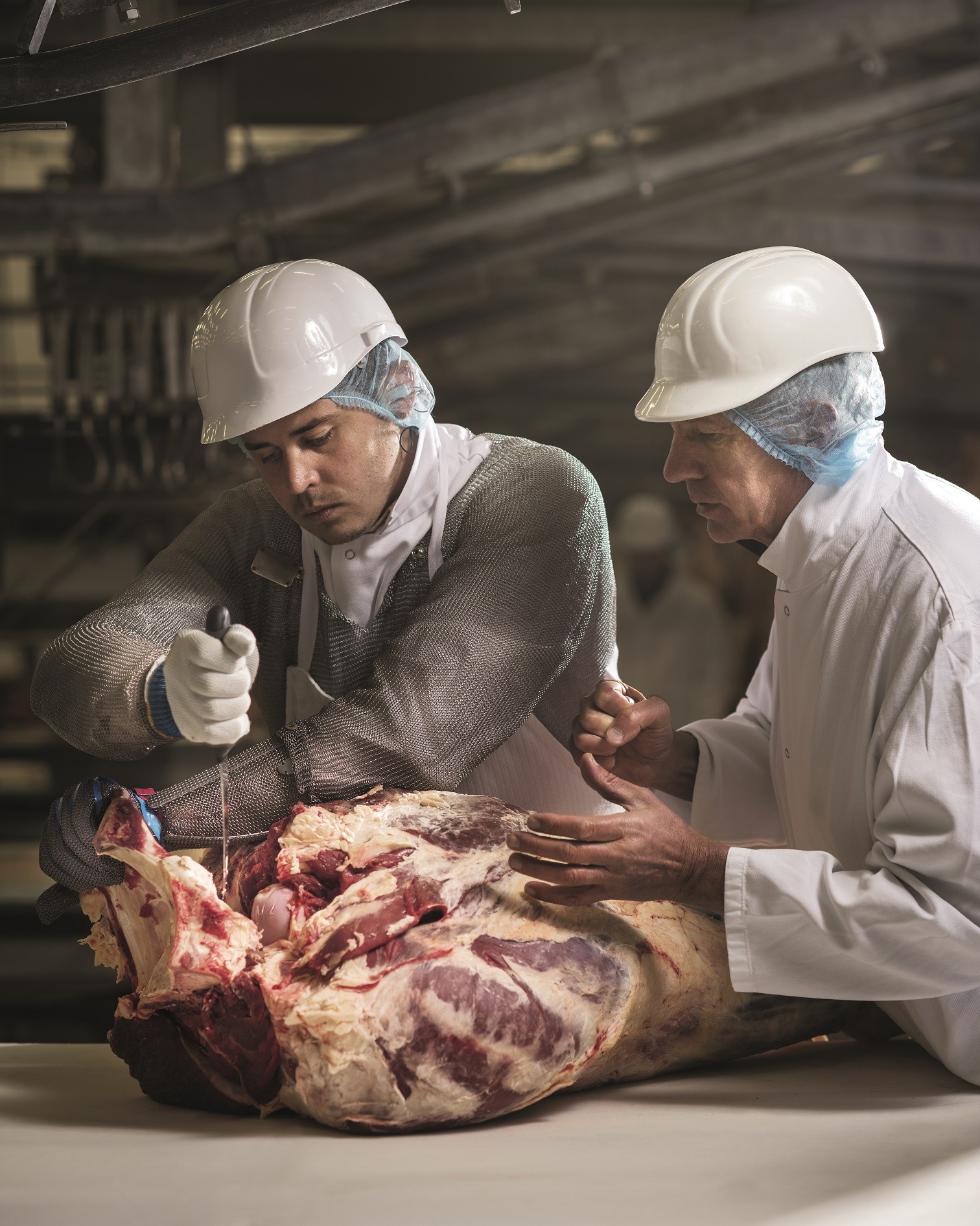 Conseil expertise bouchère Bigard