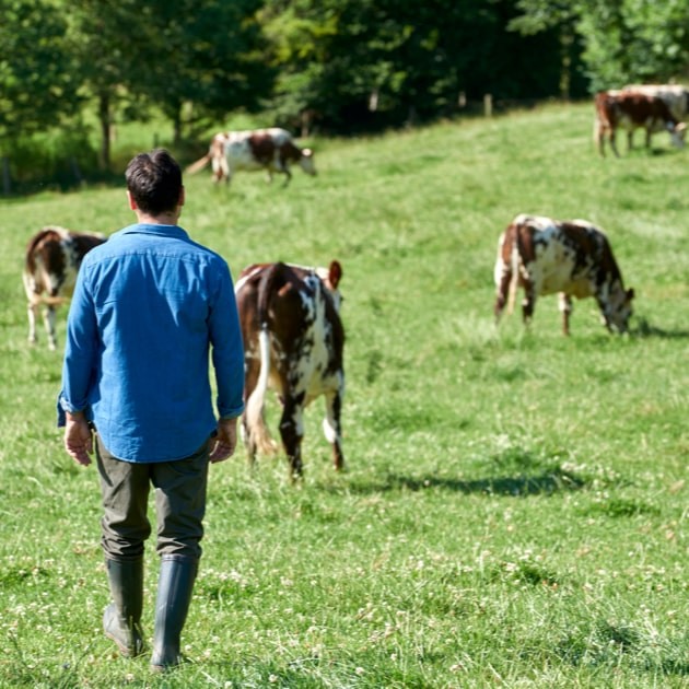 Sous gamme steak haché Plein Air