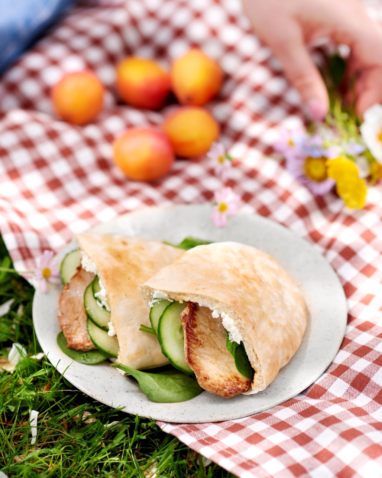 Sandwich pita au lomo