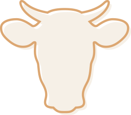 vache